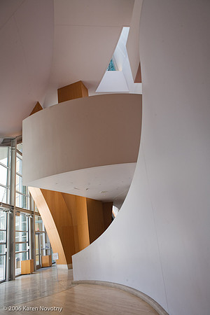 Walt Disney Concert Hall, Los Angeles