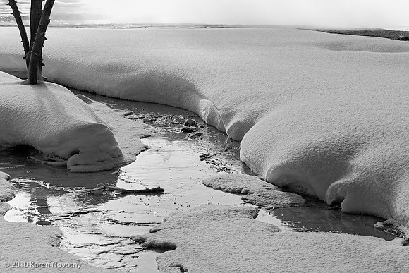 Yellowstone_2009Feb13-6232WK