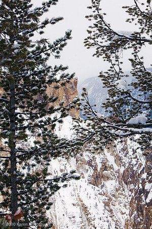 Yellowstone_2009Feb11-5874WK
