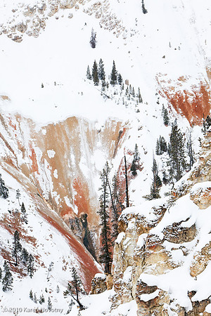 Yellowstone_2009Feb11-5858WK