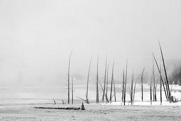 Yellowstone_2009Feb11-5839WK